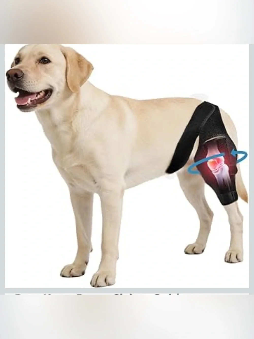 Dog Knee Brace For Torn ACL/CCL & Hind Leg Support - XL 1071/bb6